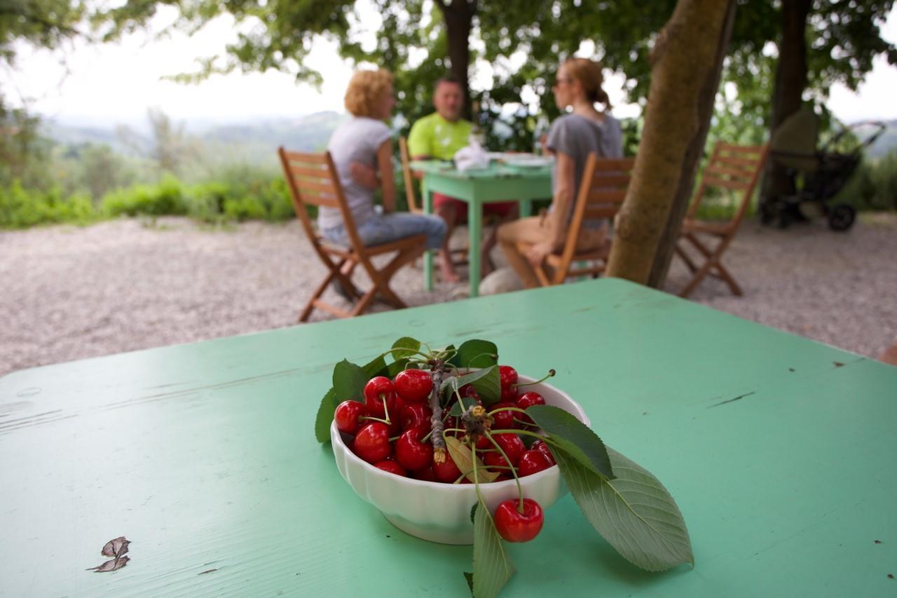 Farmstay Kmetija Stekar Kojsko Exterior foto